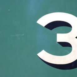 3 Inch Dick Rate