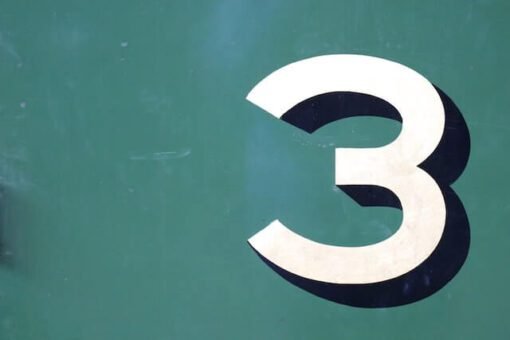 3 Inch Dick Rate